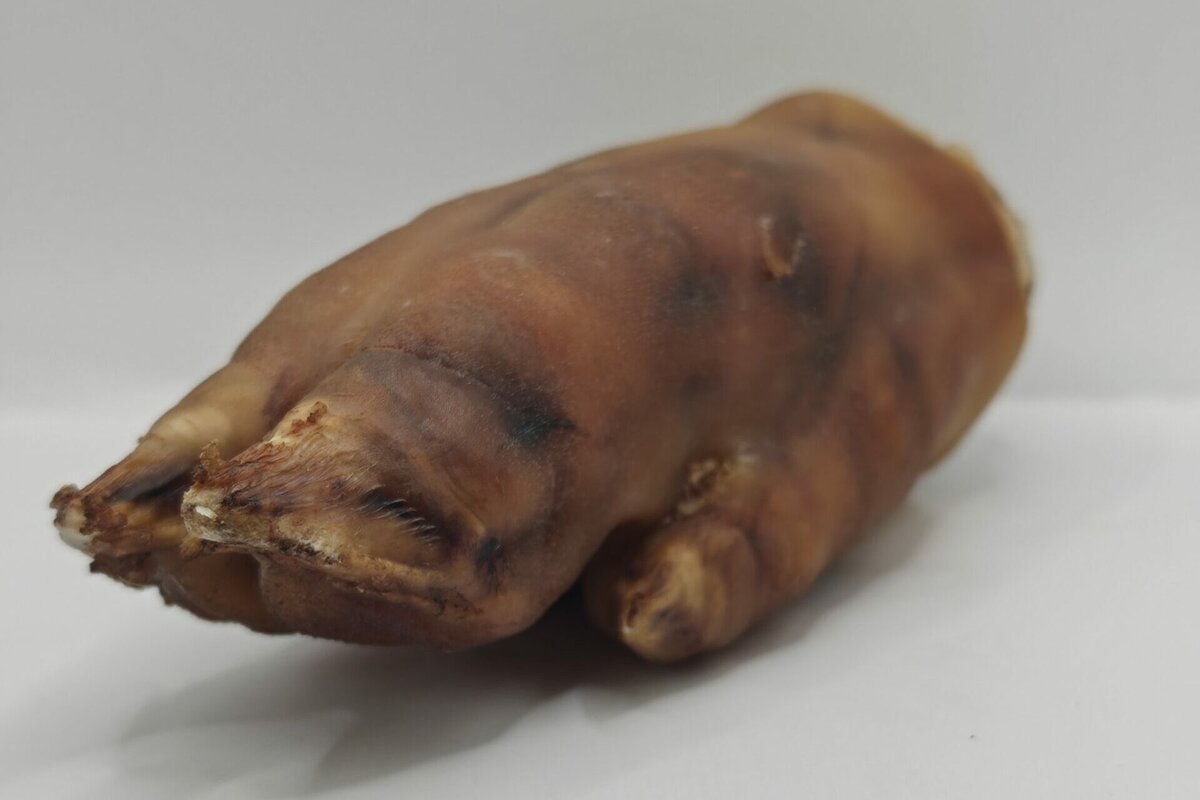 Pattoune de cochon